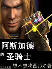 阿斯加德的圣骑士章节列表