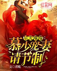 星光璀璨：慕少宠妻请节制章节列表