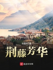荆藤芳华章节列表
