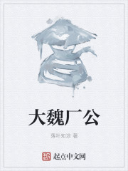 大魏厂公章节列表