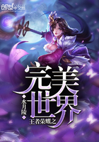 王者荣耀之完美世界章节列表