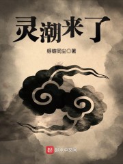 灵潮来了章节列表