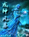 成神风暴章节列表