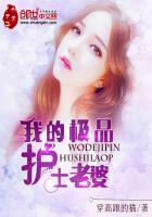 我的极品护士老婆章节列表