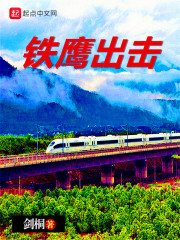 铁鹰出击章节列表