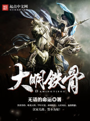 大明铁骨章节列表