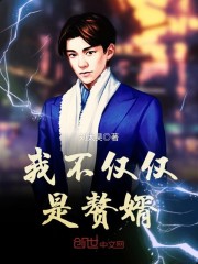 我不仅仅是赘婿章节列表