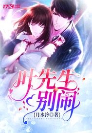 叶先生别闹章节列表