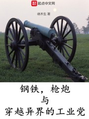 钢铁，枪炮与穿越异界的工业党章节列表