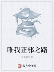 唯我正邪之路章节列表