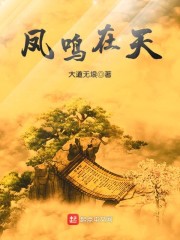 凤鸣在天章节列表