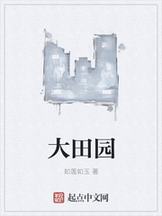 大田园章节列表