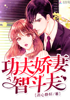 功夫娇妻智斗夫章节列表