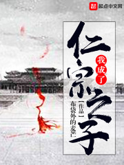 我成了仁宗之子章节列表