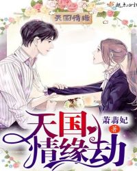 天国情缘劫章节列表