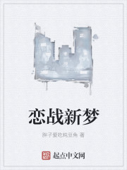 恋战新梦章节列表