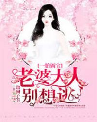 一胎俩宝，老婆大人别想逃章节列表