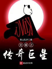 文娱之传奇巨星章节列表