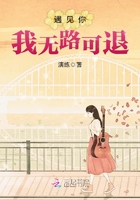 遇见你我无路可退章节列表