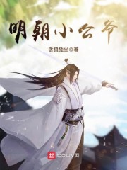明朝小公爷章节列表