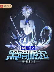 精灵之黑暗崛起章节列表