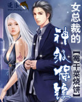 女总裁的神级保镖章节列表