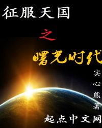 征服天国之曙光时代章节列表