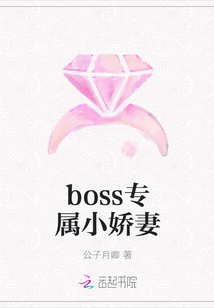 boss专属小娇妻章节列表