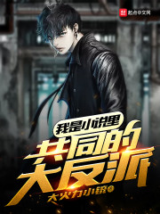 我是小说里共同的大反派章节列表