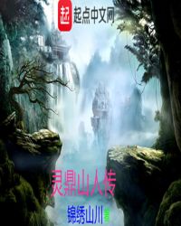 灵鼎山人传章节列表