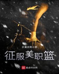 征服美职篮章节列表