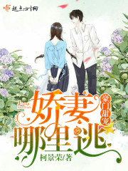 豪门甜宠之妻子哪里逃章节列表