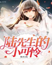 陆先生的小可怜章节列表