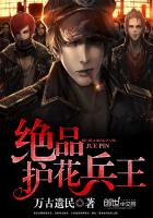 绝品护花兵王章节列表