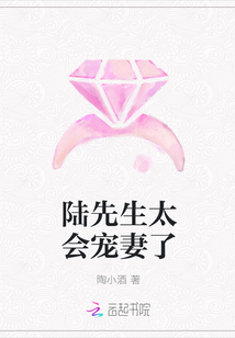 陆先生太会宠妻了章节列表