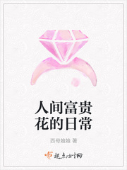 人间富贵花的日常章节列表