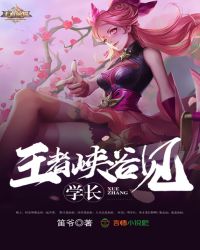 学长，王者峡谷见章节列表