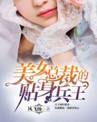 美女总裁的贴身兵王章节列表