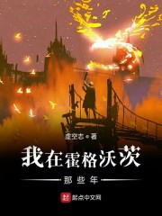 我在霍格沃茨那些年章节列表