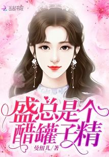 盛总是个醋罐子精章节列表