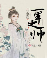 一军之帅章节列表