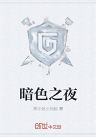 暗色之夜章节列表