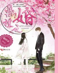 鼎礼之婚章节列表