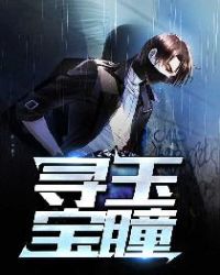 寻玉宝瞳章节列表