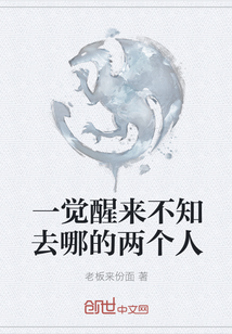 一觉醒来不知去哪的两个人章节列表