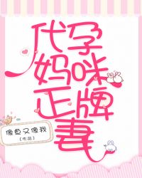 代孕妈咪正牌妻章节列表