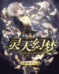 灵天幻梦章节列表