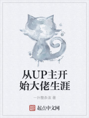 从UP主开始大佬生涯章节列表