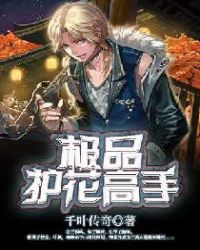 极品护花高手章节列表