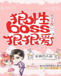 快穿女配：狼性boss，狠狠爱章节列表
